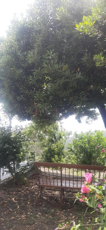 Ca Du Stea Villa Lavagna Kültér fotó