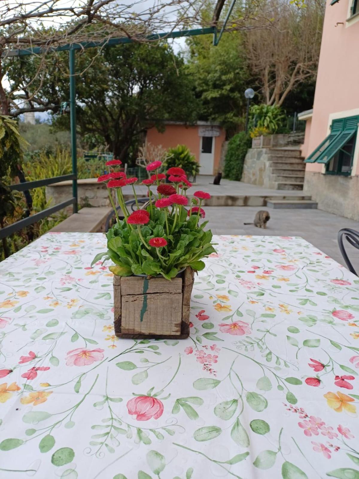 Ca Du Stea Villa Lavagna Kültér fotó